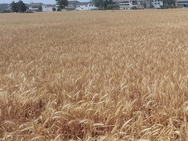 ������£�����������ӭ�����µ�����